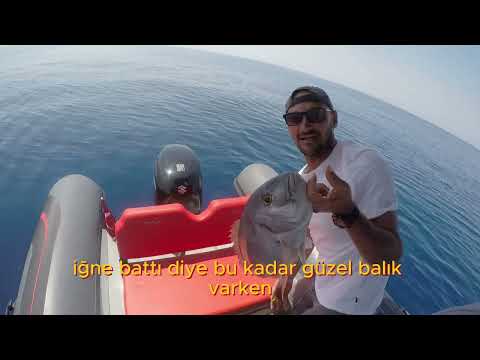 Olta ile Fangri Mercan Avı